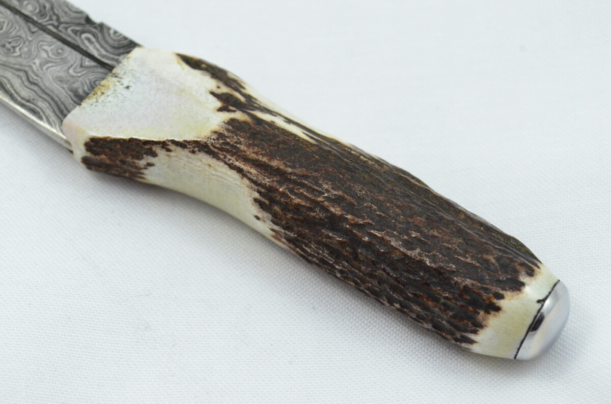 A Fantastic Genuine Stag Horn Handle Damascus Steel Sgian Bru Made in Sheffield England - Image 4