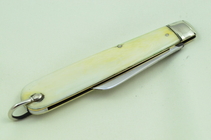 Sheffield Made 1 Blade Imitation Ivory Scaled Pen Knife Maker Unknown C 1900 - Image 7