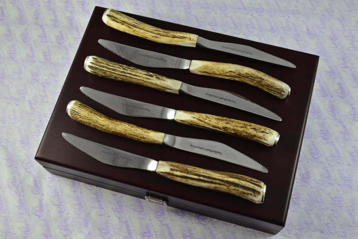 Coarse Serrate Six Genuine Stag/Antler Handle Steak/Bistro/Grill Knife Made Sheffield England Cased - Image 13