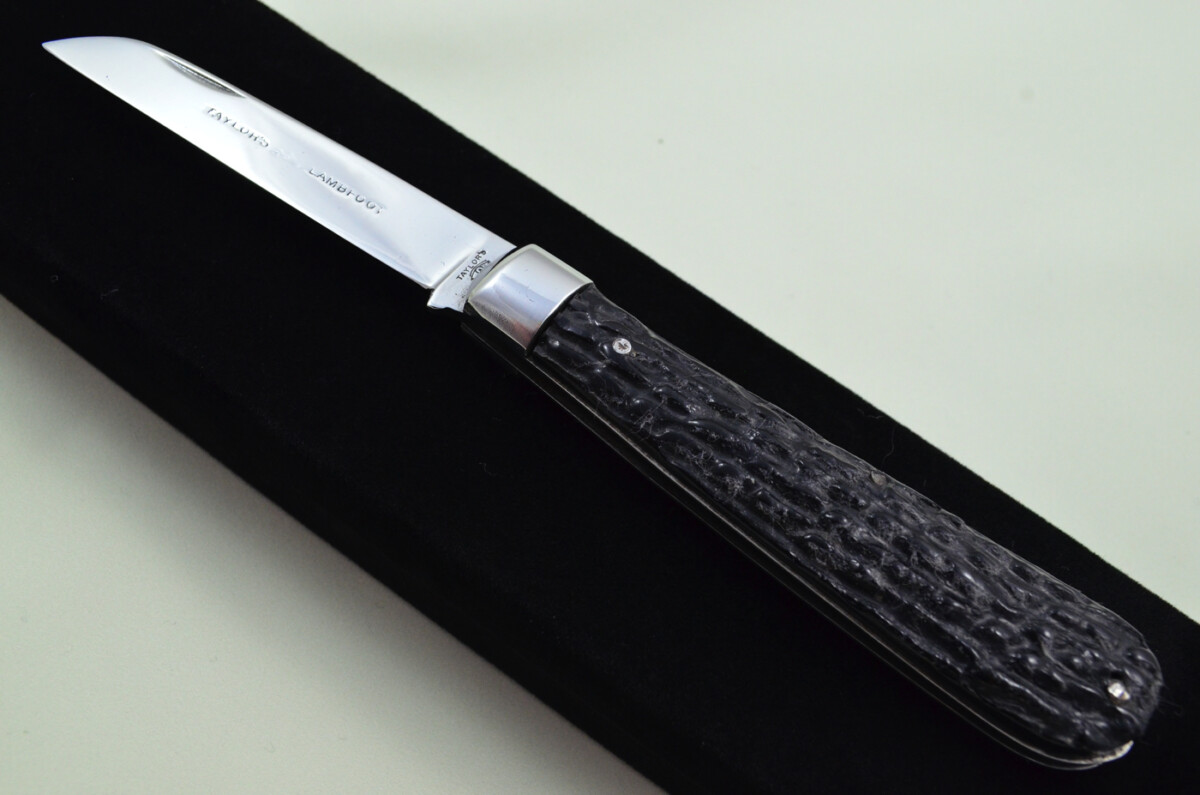 Taylors Eye Witness Sheffield Made 1 Blade Black Fibre Scaled Pen Knife C1890 - Image 2