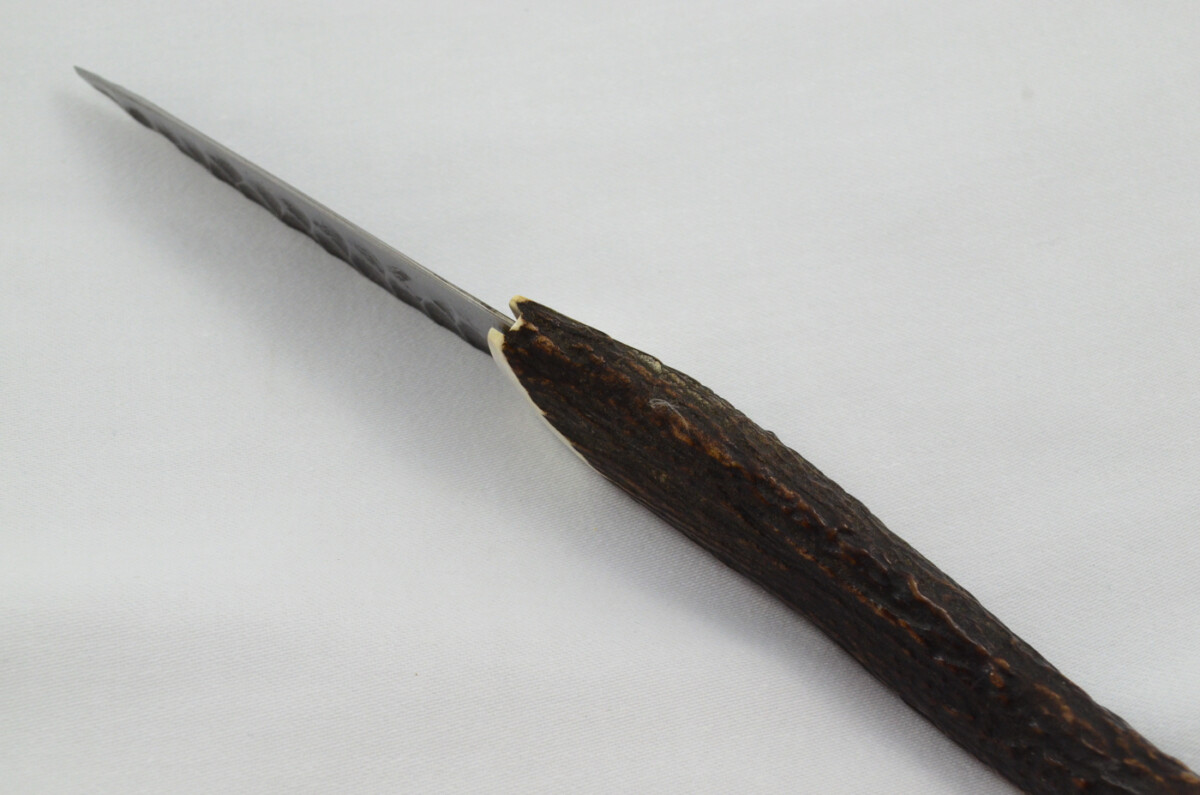 A Fantastic Genuine Hand Forged Carbon Steel Stag Horn Full Tyne Antler Handle Sgian Dubh Sheffield England - Image 6