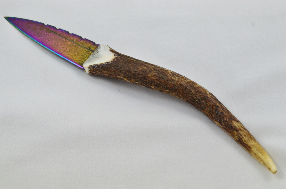 A Fantastic Genuine Stag Horn Full Tyne Handle Heat Treated Damascus Steel Sgian Dubh Made in Sheffield England - Image 2