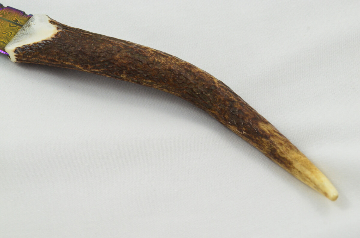 A Fantastic Genuine Stag Horn Full Tyne Handle Heat Treated Damascus Steel Sgian Dubh Made in Sheffield England - Image 4