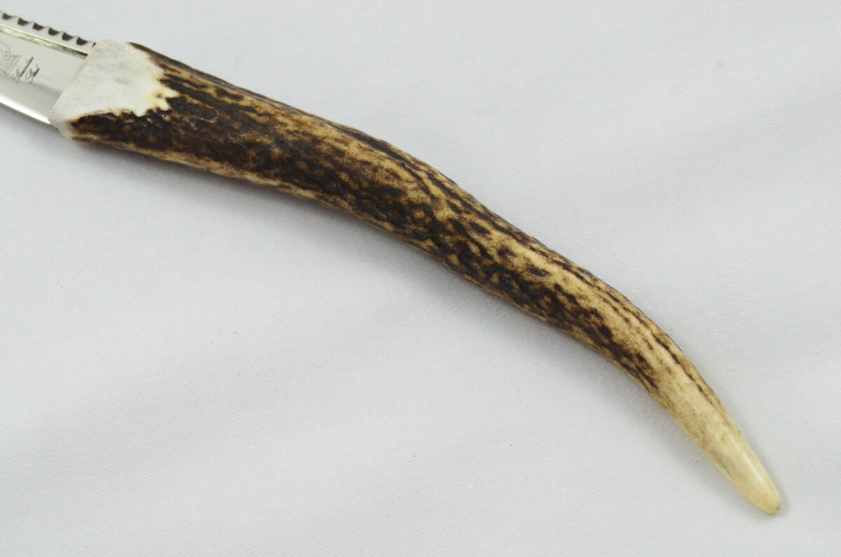 New Fantastic Genuine Stag Horn Tyne Handle Sgian Dubh Stainless Steel Blade Made in Sheffield England - Image 4