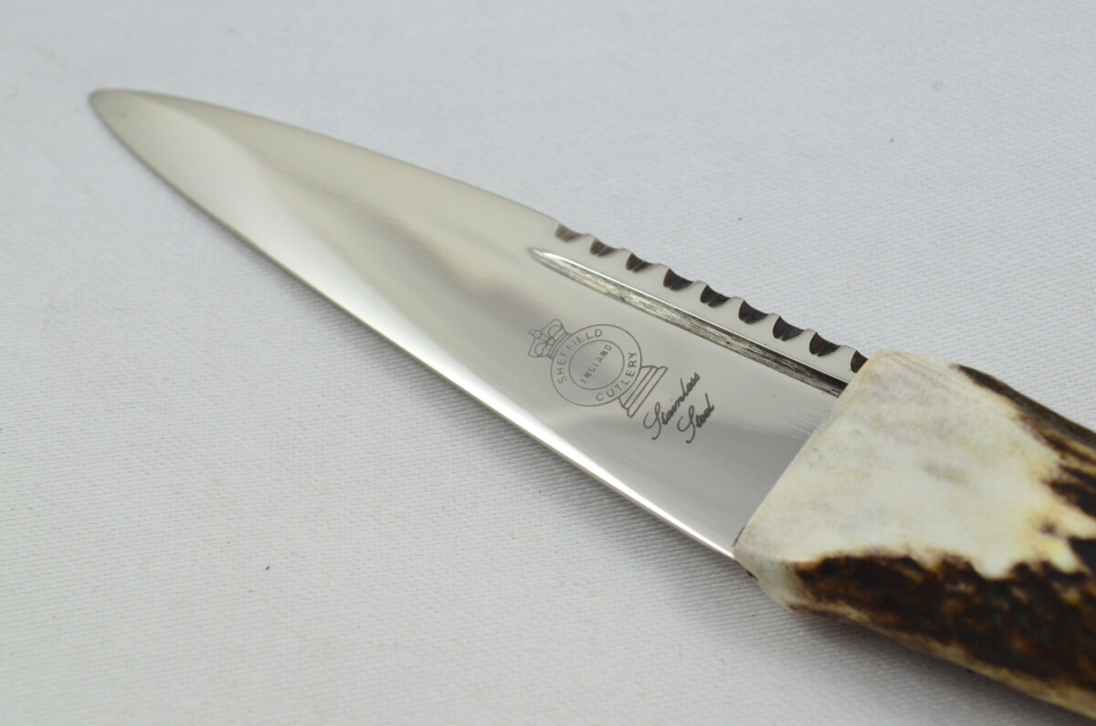New Fantastic Genuine Stag Horn Tyne Handle Sgian Dubh Stainless Steel Blade Made in Sheffield England - Image 3