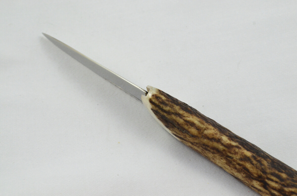 New Fantastic Genuine Stag Horn Tyne Handle Sgian Dubh Stainless Steel Blade Made in Sheffield England - Image 5